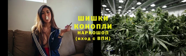 мет Ладушкин