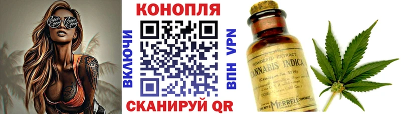 Каннабис сатива  наркотики  гидра ТОР  Фокино 